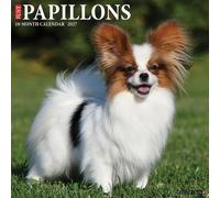 Willow Creek Press, Just Papillons Calendrier mural 2027