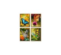 Schipper 609340628 - Malen Selon Payer - Papillons (Quattro) - Neuf
