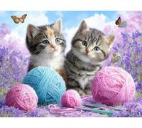Papillons de chat Peinture par Numéros Adulte Kit 50x60cm Activité Manuelle, DIY Coloriage Par Numero pour Débutants Enfant Kits, Avec Peintures Acryliques et Pinceaux Par Pour, Décoration Mura F596