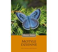 Papillons de jour