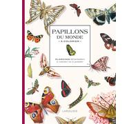 Collectif – Papillons du monde à colorier – Planches détachables à colorier ou à peindre – Relié