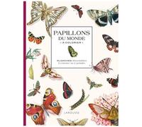 Papillons Du Monde À Colorier - Planches Détachables À Colorier Ou À Peindre