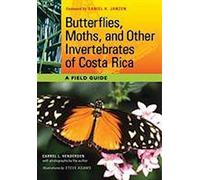 Papillons, papillons de nuit et autres invertébrés du Costa Rica