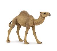Papo - 50151 - Figurine - Animaux - Dromadaire | Une bosse adaptée aux déserts chauds | peint à la main | pièce à collectionner | idée cadeau original pour fille garçon