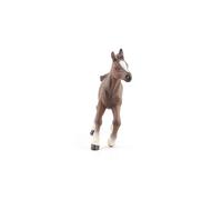 PAPO - 51076 - Figurine - Cheval - Poulain Anglo Arabe