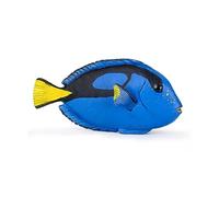 Papo - 56024 - Figurine - Animaux - Poisson Chirurgien
