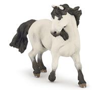 Chevaux, Poulains Et Poneys Camargue