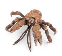 Papo Crabe de cocotiers