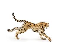 La Vie Sauvage Guépard Courant