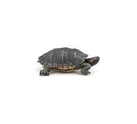 PAPO - Figurine Animale - Tortue de Floride, S
