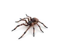 Papo Figurine Araignée Réaliste Collection Animaux des Jardins Enfant 3 Ans | Jeu éducatif sur les insectes et arachnides du jardin | peinte à la main | pièce à collectionner | idée cadeau original