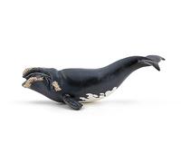 Papo – Figurines à collectionner – Baleine franche (56057) – Animaux marins – Dès 3 ans