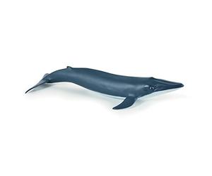 Papo - Figurine Bébé Baleine Bleue Réaliste - 3 Ans + - Collection Univers Marin - Jeu Éducatif Jeunes Mammifères Marins - Idée Cadeau Jouet Fille Garçon