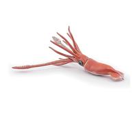 Papo Figurine Calmar géant – Univers marin – À partir de 3 ans – 56058