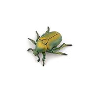 Papo - Figurine Cétoine Dorée Réaliste - 3 Ans + - Collection Animaux des Jardins - Jeu Éducatif Insectes - Idée Cadeau Jouet Fille Garçon