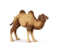 Papo Figurine Chameau de Bactriane Réaliste Collection La Vie Sauvage 3 Ans | Voyage dans les déserts lointains | découverte des animaux du monde et adaptation | peint à la main | idée cadeau original