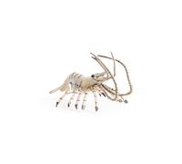 Papo - Figurine Crevette Réaliste - 3 Ans + - Collection Univers Marin - Jeu Éducatif Animaux Marins - Idée Cadeau Jouet Fille Garçon