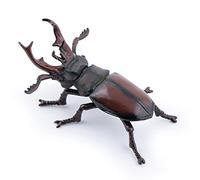 Papo - Figurine Lucane Réaliste - 3 Ans + - Collection Animaux des Jardins - Jeu Éducatif Insectes - Idée Cadeau Jouet Fille Garçon