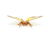 Papo Figurine peinte à la main – La Vie Sauvage Papillon Souci 50288 – À collectionner, dès 3 ans