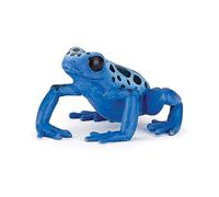 La Vie Sauvage Grenouille Équatoriale Bleue