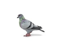 Papo – Figurine Pigeon Multicolore – Animaux des jardins, à collectionner – Dès 3 ans