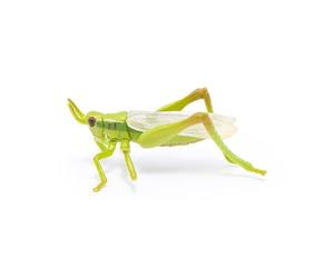 Papo - Figurine Sauterelle Réaliste - 3 Ans + - Collection Animaux Des Jardins - Jeu Éducatif Insectes - Idée Cadeau Jouet Fille Garçon
