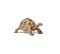 Papo - Figurine Tortue D’Hermann Réaliste - 3 Ans + - Collection La Vie Sauvage - Jeu Éducatif Reptiles - Idée Cadeau Jouet Fille Garçon