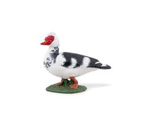 Papo - Figurines à Collectionner - Canard de Barbarie - 51189 - Animaux de la Ferme - pour Enfants - Filles Et Garçons - A Partir de 3 Ans