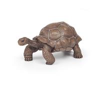 Papo - Figurines A Collectionner - Tortue Des Galapagos - Animaux Sauvages - Convient Aux Enfants - Filles Et Garçons - A Partir De 3 Ans