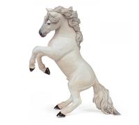 Chevaux, Poulains Et Poneys Cheval Cabré Blanc