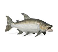 Papo - Poisson Tigre Goliath - Figurine Poisson Réaliste - 5,5 cm