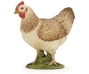 PAPO POULE G