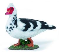 Papo Wild Life Canard de Barbarie 51189