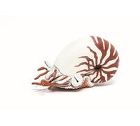 Papo Wild Life Ocean Nautilus 56061