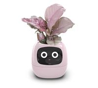 Papots de Fleurs Intelligents, Robot Smart Pet Planter avec des Expressions Multiples, Planteur AI avec Interaction Gesture pour Le Décor de L'école de Bureau à Domicile (PlNK)