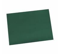 Papstar - 10 x 100 Sets de Table, Papier 30 cm x 40 cm Vert