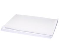 Papstar Set de table en papier 12555 30 x 40 cm Rectangulaire Blanc Non lavable Lot de 250