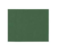 PAPSTAR Lot de 100 sets de table en tissu non-tissé Soft Selection 30 cm x 40 cm Vert foncé