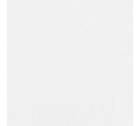 PAPSTAR 82566 PAPSTAR Serviett.40x40cm rot