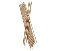 Papstar Brochettes