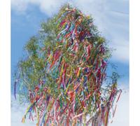 PAPSTAR, 10 feuilles de papier crépon de 2,5 m x 50 cm, couleurs assorties, imperméables