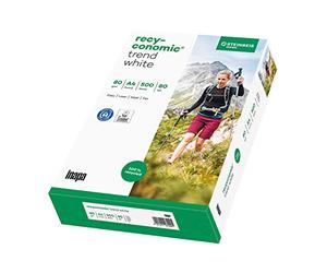 Papyrus 88031824 Recyconomic TrendWhite Paquet de 500 feuilles de papier multifonctions format A4 grammage 80 g/m² (Blanc) (Import Allemagne)