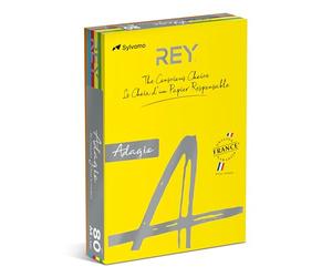 Papyrus Adagio Ramette 100 feuilles x 5 teintes 80g A4 Assorties intenses