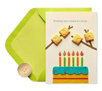 Papyrus Carte d'anniversaire (S'more Fun)