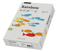 Papyrus Papier Copie Rainbow Gris Papier Couleur DIN A4 80g 500 Feuilles