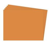 Paq/25 Cartulinas Fixo 50X65 180G. Avellana - [Livre en VO] Unknown (Auteur)