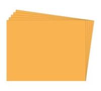 Paq/25 Cartulinas Fixo 50X65 180G. Oro Viejo - [Livre en VO] Unknown (Auteur)