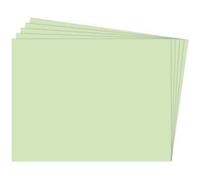Paq/25 Cartulinas Fixo 50X65 180G. Verde Agua - [Livre en VO] Unknown (Auteur)