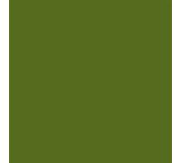 Paq/50 Cartulinas Iris A4 185G. Verde Safari - [Livre en VO] Inconnu (Auteur)