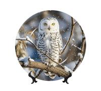PAQOLSMCKR Assiette décorative en porcelaine anglaise - Assiettes à dîner en céramique - Hibou blanc d'hiver - Assiettes décoratives en céramique - Ornement artistique - Assiette en porcelaine pour